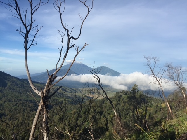 Catatan #1 Anganku Menatap Langit dari&nbsp;Dekat
