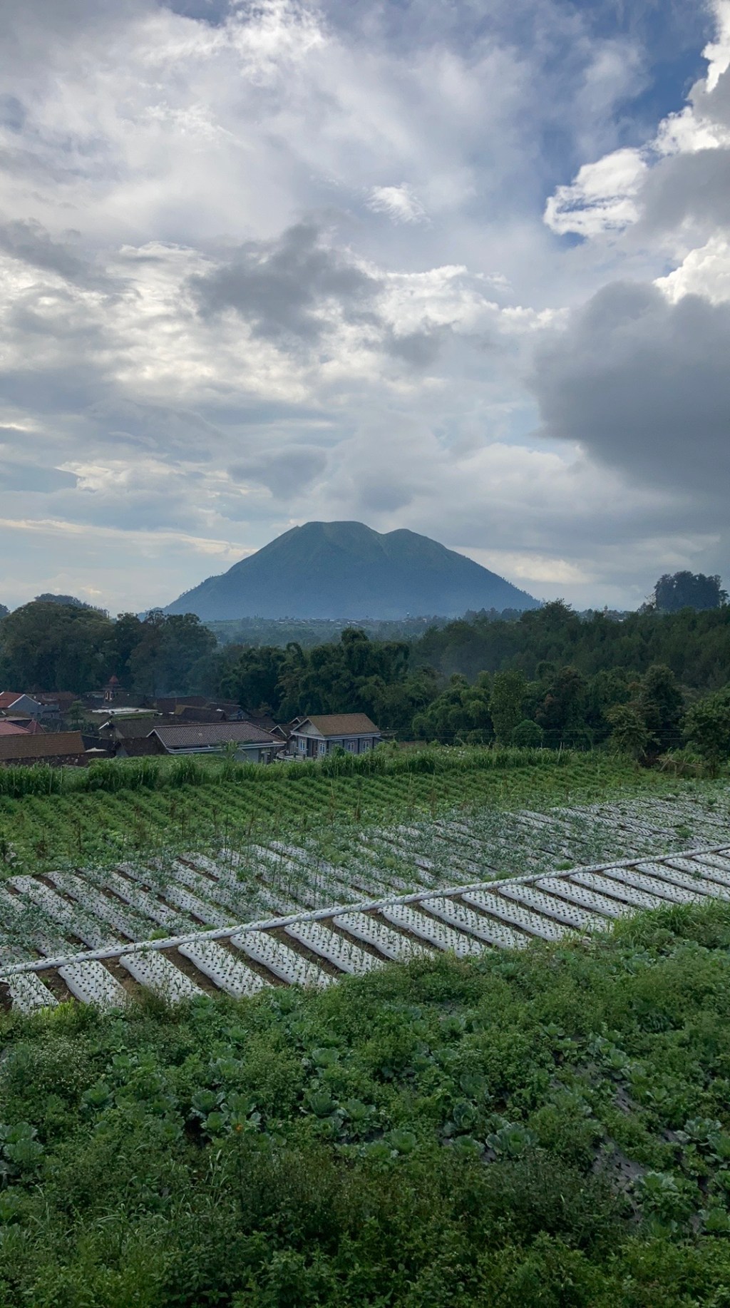 Catatan #6 Senyuman Itu Menguatkanku (Catatan Pendakian Gunung&nbsp;Andong)
