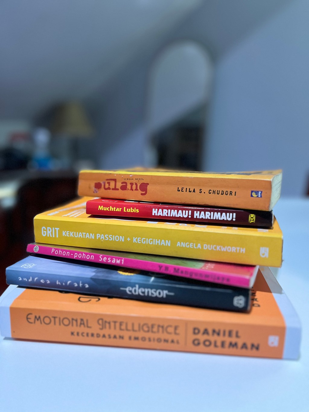 Berkelana Dalam Diam