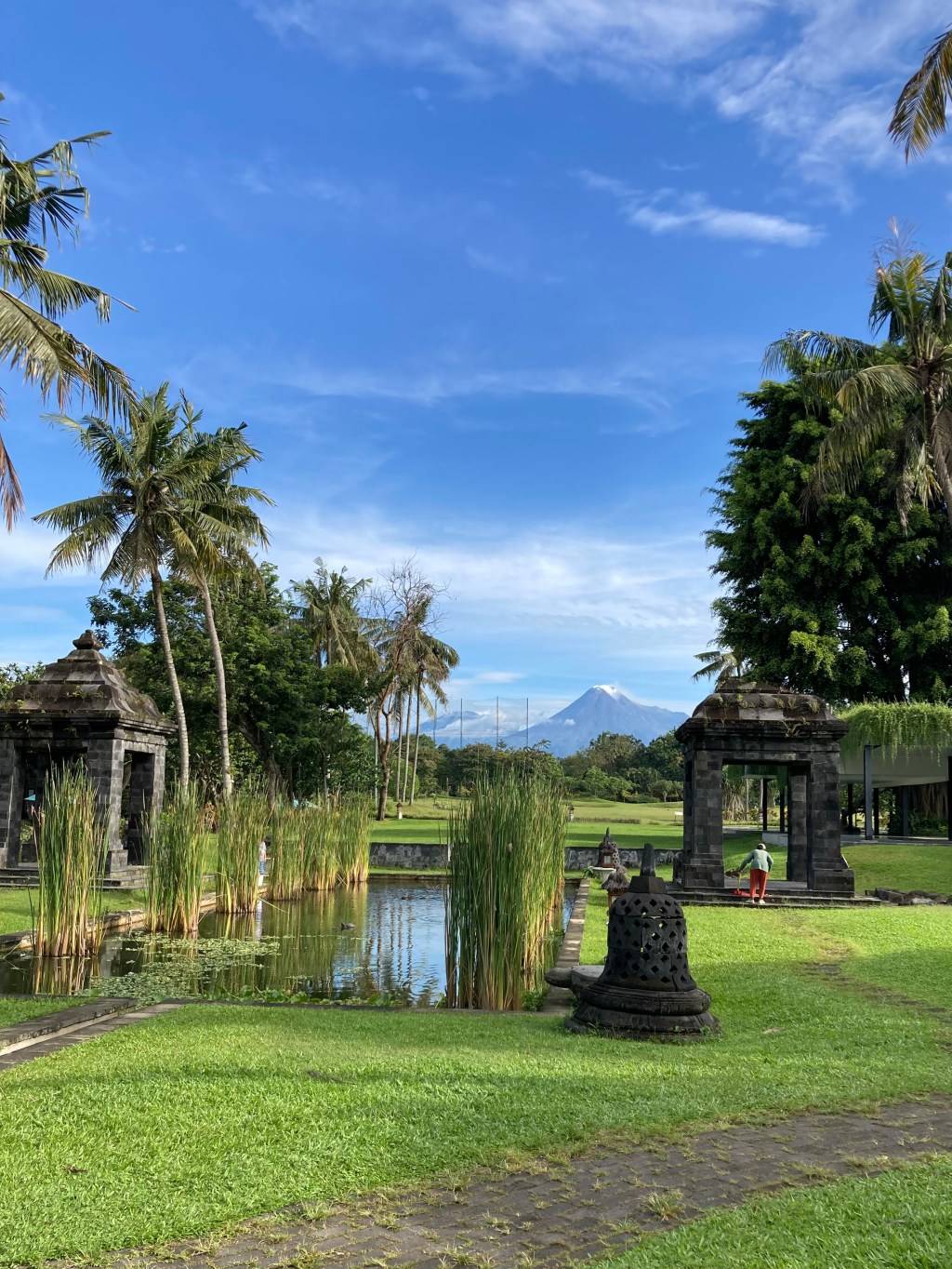 1998 2025 Sebuah Reaksi dari Aksi